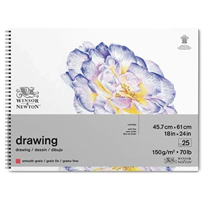 Imagen de Winsor &amp; Newton papel de dibujo, Blanco Natural, 45,7 x 61,0cm