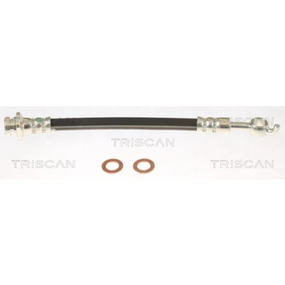 Imagen de TRISCAN 8150 14262 Latiguillos de Freno F10x1