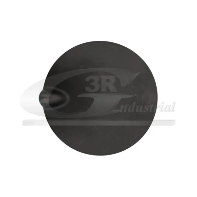 Imagen de Tapa, depósito de combustible 3RG 81323