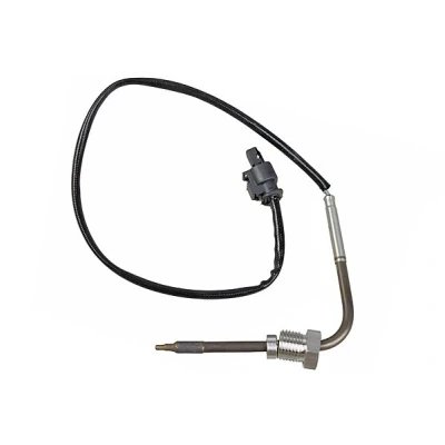 Imagen de METZGER 0894629 Sensores SMART: Fortwo II Coupé