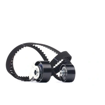 Imagen de GATES FleetRunner Micro V Stretch Fit K025581XS Kit de correa distribución PEUGEOT: 301 Berlina, 206 Hatchback, 308 II Hatchback norauto, oscaro,