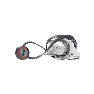 Imagen de SKF VKMC 03201 1 Bomba de Agua + Kit Distribucion 114 PEUGEOT: 406 Berlina, 306 Hatchback, Partner I Furgón, CITROËN: Berlingo / First