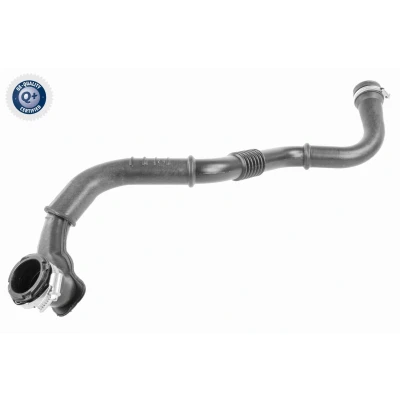 Imagen de VAICO V46 0736 Manguera Turbo Caucho con refuerzo textil Q+, calidad de primer equipo RENAULT: SCENIC 2, MEGANE 2 Stufenheck