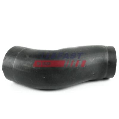 Imagen de Tubo flexible de aire sobrealimentación FAST FT61782