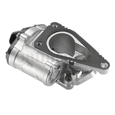 Imagen de VDO 408 265 001 010Z Válvula EGR eléctrico con junta, sin juntas Unidad de control/software se debe actualizar RENAULT: SCENIC 2, LAGUNA 2
