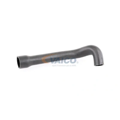 Imagen de VAICO V24 0719 Manguera Turbo Caucho con refuerzo textil Q+, calidad de primer equipo FIAT: Doblo I Familiar, Cargo