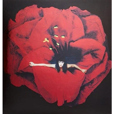 Imagen de Adore [Vinilo]