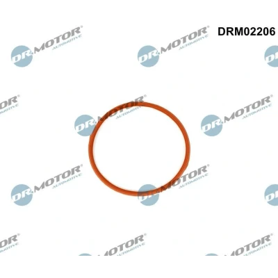 Imagen de DR.MOTOR AUTOMOTIVE DRM02206 Junta Colector de Admision Entrada VOLVO: S80 II, XC90 XC60 I