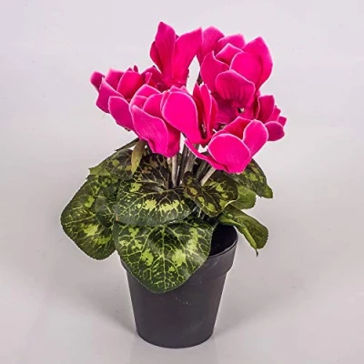 Imagen de artplants.de Ciclamen Artificial en Maceta, 12 Flores, Fucsia, 25cm Planta Flores Decorativas