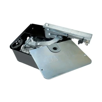 Imagen de Came FROG A Motor reductor enterrado 230 vac para puertas batientes de uso residencial hasta 3,5 m puerta 001FROG A, acero