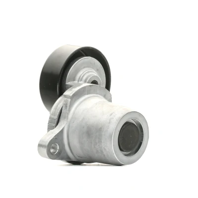 Imagen de GATES FleetRunner Micro V Kit T38454 Polea Tensora HYUNDAI: Getz, Tucson, SANTA FE 2, KIA: cee‘d I Familiar, Sportage II, Magentis II norauto, oscaro,