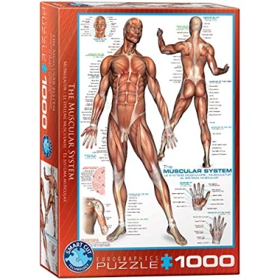 Imagen de Eurographics Rompecabezas, 1000 Piezas (EG60002015)