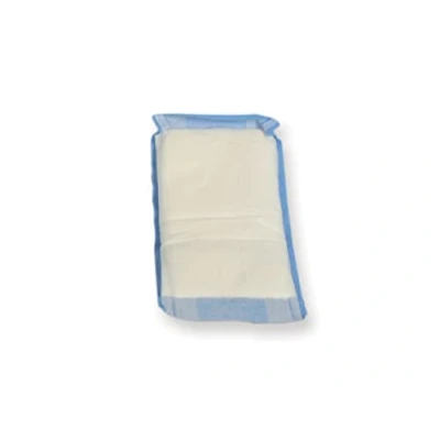 Imagen de Bastos Viegas Almohadillas absorbentes, 10x20 cm, 30