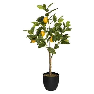 Imagen de ATMOSPHERA CREATEUR D&#039;INTERIEUR Limonero H 70