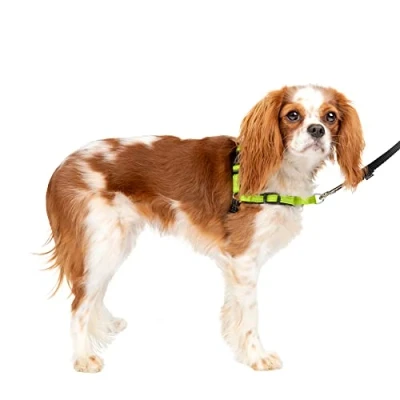 Imagen de PetSafe Arnés de Lujo para Perros Easy Walk, Nailon, Manzana/Negro, S