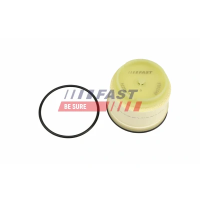 Imagen de FAST FT01340 Filtro Combustible Cartucho filtrante