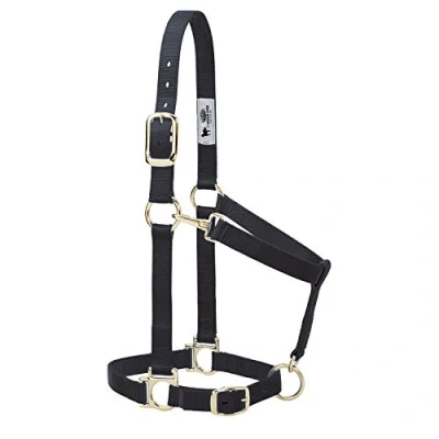 Imagen de Weaver Leather Cabestro básico Ajustable de Nailon, Negro, Caballo Grande 1 Pulgada