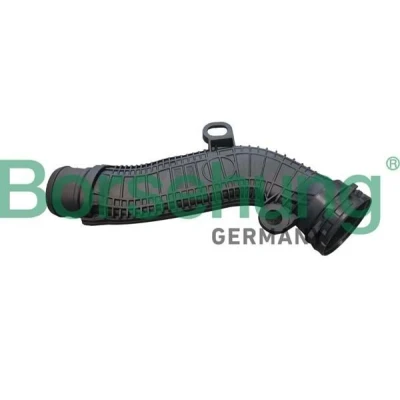 Imagen de Borsehung B12348 Sistema de Ventilacion del Carter VOLKSWAGEN: GOLF 6, Scirocco III, Eos, SEAT: Leon II Hatchback, AUDI: TT Coupé