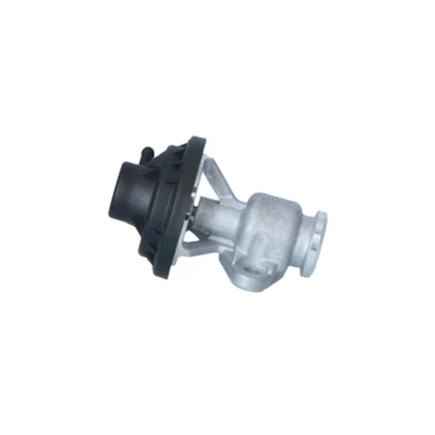Imagen de NRF 48615 Válvula EGR con juntas VOLKSWAGEN: Golf 5, Caddy 3