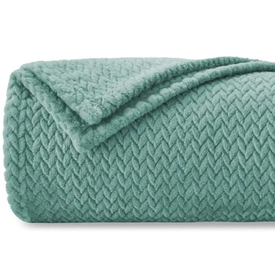 Imagen de Homebliss Mantas para Sofa 220 x 240 cm,Manta Polar Franela Extra Suave,100% Microfibra Flannel Blanket,Multiusos Plaid Cama,Cubrecama,Cubresofá,Verde Agua