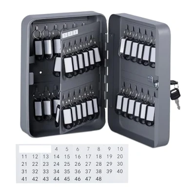 Imagen de Relaxdays Caja Cuelga Llaves, con Cerradura, 48 Ganchos, 25x18x8 cm, Portallaves Hierro y Plástico, Gris