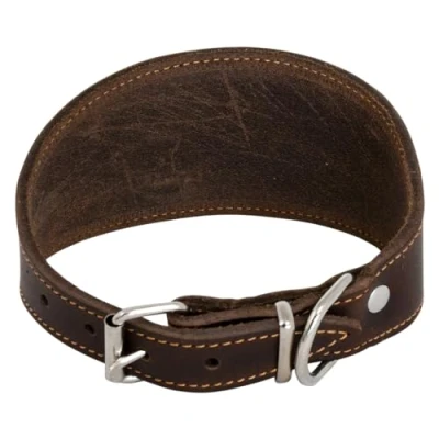 Imagen de JACK AND VANILLA, Collar para Lebro Perro, Modelo Piel Negrita, Color Marrón, Talla 42 cm