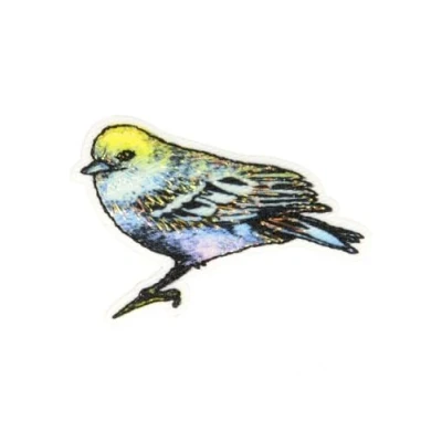 Imagen de M &amp; C Parche termoadhesivo para pájaros (3 cm x 4 cm)