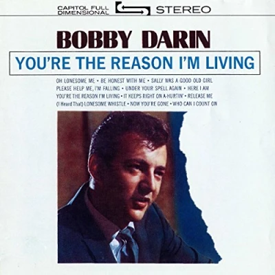 Imagen de You&#039;re The Reason I&#039;m Living Vinilo