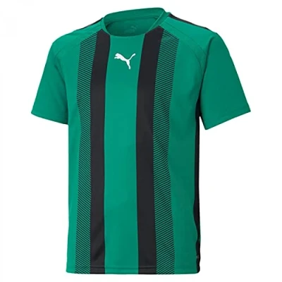 Imagen de PUMA teamLIGA Striped Jersey Jr