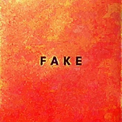 Imagen de Fake Vinilo