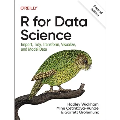 Imagen de R For Data Science: Import Tidy Transform Visualize And Model (en