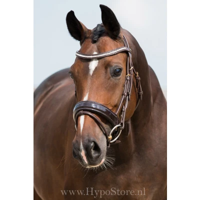 Imagen de Premiera &quot;Milano&quot; Brown bridle with anatomically shaped headpiece and patent leather noseband, gold buckles