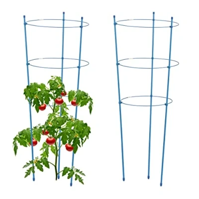 Imagen de Relaxdays Set 2 Jaulas Tomates, Metal, Plástico, Tutores Tomateras, 76cm, 3 Anillos Regulables, Soporte Trepadoras, Azul, Hierro