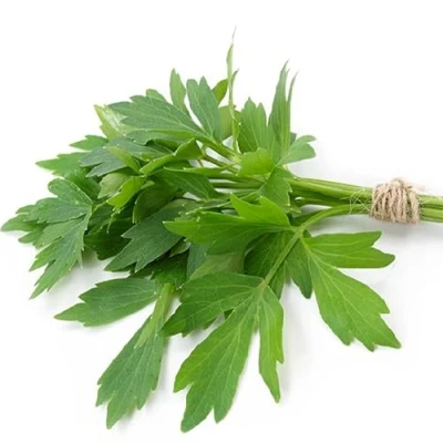 Imagen de 300 semillas de Apio (Levisticum officinale) perpetuo reproducible sin tratar