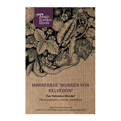 Imagen de Guisante &quot;Kelvedon Wonder&quot; (Pisum sativum L. convar. medullare) aprox. 100 semillas