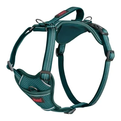 Imagen de Arnés de perro HALTI Anatomy con asa Proporciona libertad movimiento a tu para que pasee cómodamente. 3 puntos enganche y acolchado neopreno ajustable (Talla L, Verde Azulado)