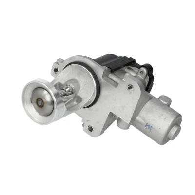 Imagen de PIERBURG 7.00365.06.0 Válvula EGR eléctrico de control con junta VOLKSWAGEN: Transporter 5, Multivan 5 (7HM, Bus norauto, oscaro