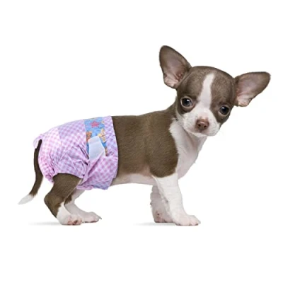 Imagen de Flying Paws pañales Desechables para Perras, Cachorros con Cintura elástica Ajustable Perras o Gatos en Calor, incontinencia, pañal indicador de Humedad. (XXS 10 Unidades)