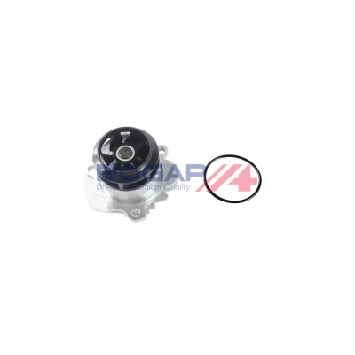 Imagen de BOGAP A4234157 Bomba de agua VOLKSWAGEN: Golf 5, Multivan 5 (7HM, Transporter Bus, SEAT: Leon II Hatchback, Ibiza 4 Sportcoupe, 3