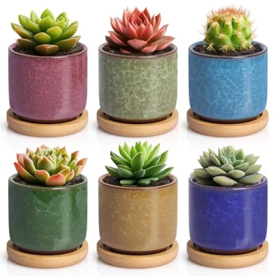 Imagen de T4u 6.3cm Cerámico Grieta de Hielo Zisha Elevado Serie Suculento Maceta Cactus Flor Macetas Envase Plantas Azul Claro con Bandejas Todo Color Conjunto 6