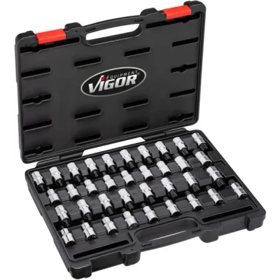 Imagen de Hazet Vigor V2496 Juego de vasos para llaves (12.5mm)