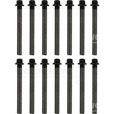 Imagen de REINZ 14 32312 01 Juego de Tornillos Culata Torx exterior BMW: 3 Coupé, Cabrio, Z3 Roadster