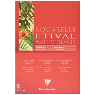Imagen de Clairefontaine 96391 C bloque Etival grano Classic pintar un parte 10 hojas A4/210 x 297 mm 300 G