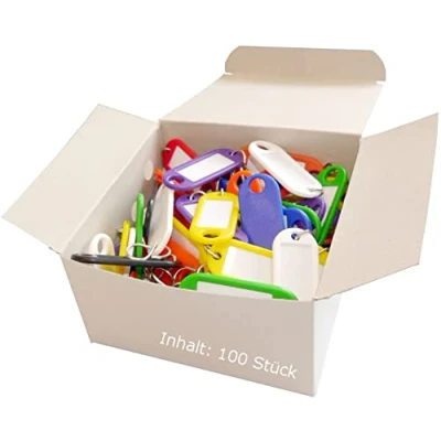 Imagen de Wedo 262813499 Llaveros para Etiquetar, 100 Unidades, con Ganchos en S, Multicolor