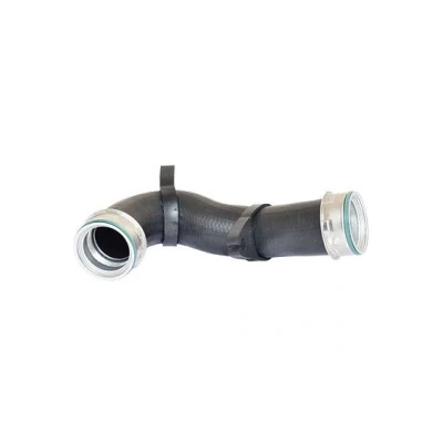 Imagen de BUGIAD 82697 Manguera Turbo SEAT: Leon I Hatchback, II Toledo 2 Limousine, VOLKSWAGEN: Golf 4, 4 Variant, Bora Berlina