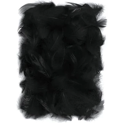 Imagen de Netuno 150 Plumas Decorativas Negras 10g Manualidades Decoración Atrapasueños Fiestas Pascua Navidad Bricolaje Hogar Bodas Cumpleaños Decoraciones Árbol Mesas Proyectos Creativos