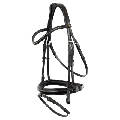 Imagen de BR Bridle Brackley