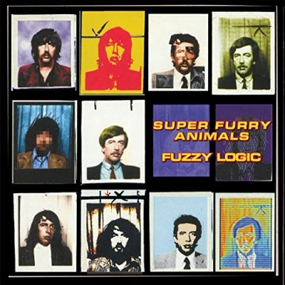 Imagen de Fuzzy Logic (20th Anniversary Deluxe Edition) [Vinilo]