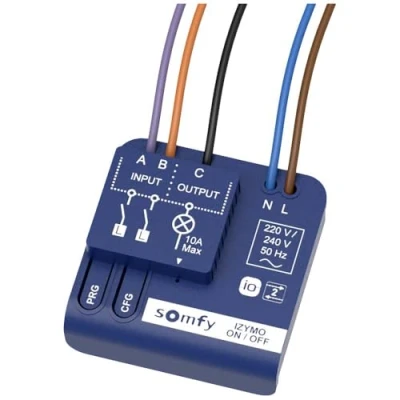 Imagen de Somfy 1822649 Micro receptor de iluminación IZYMO ON/ OFF , Tecnología io homecontrol Conecta tu para control móvil Compatible con TaHoma