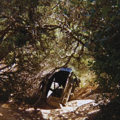 Imagen de Possession Vinilo Ty Segall